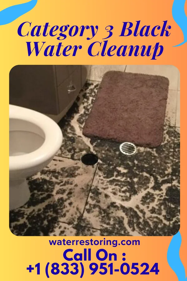 Category 3 Black Water Cleanup in Arnold Line, MS