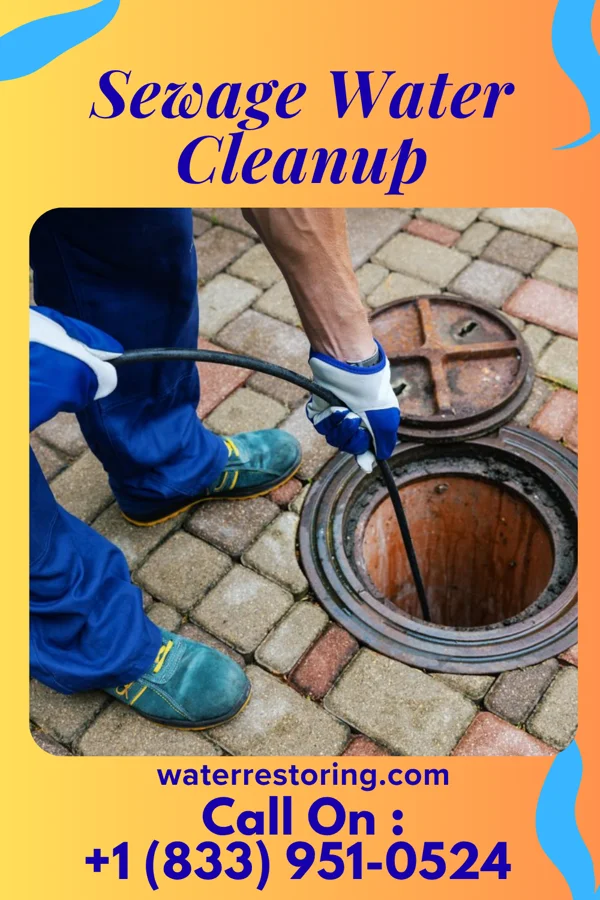 Sewage Water Cleanup in Arnold Line, MS
